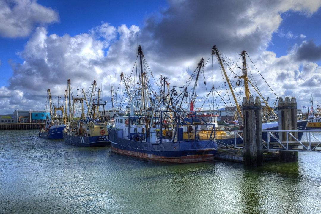 Vakantiehuisjes aan het Lauwersmeer