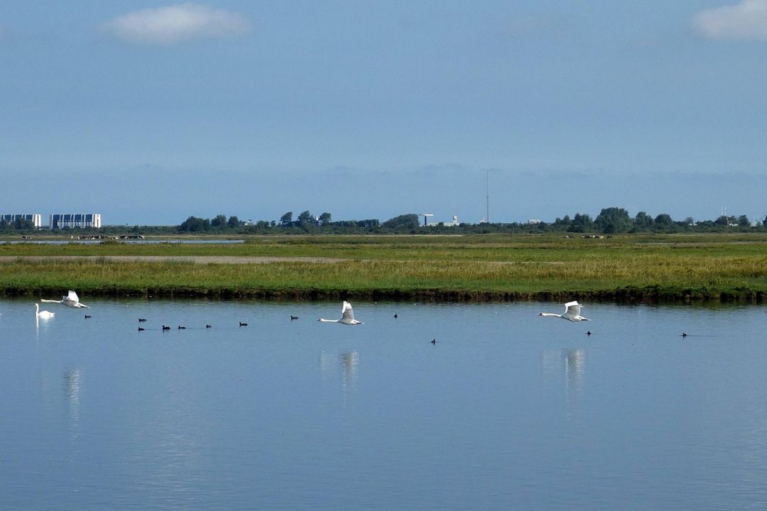 Vakantiehuisjes aan het Lauwersmeer