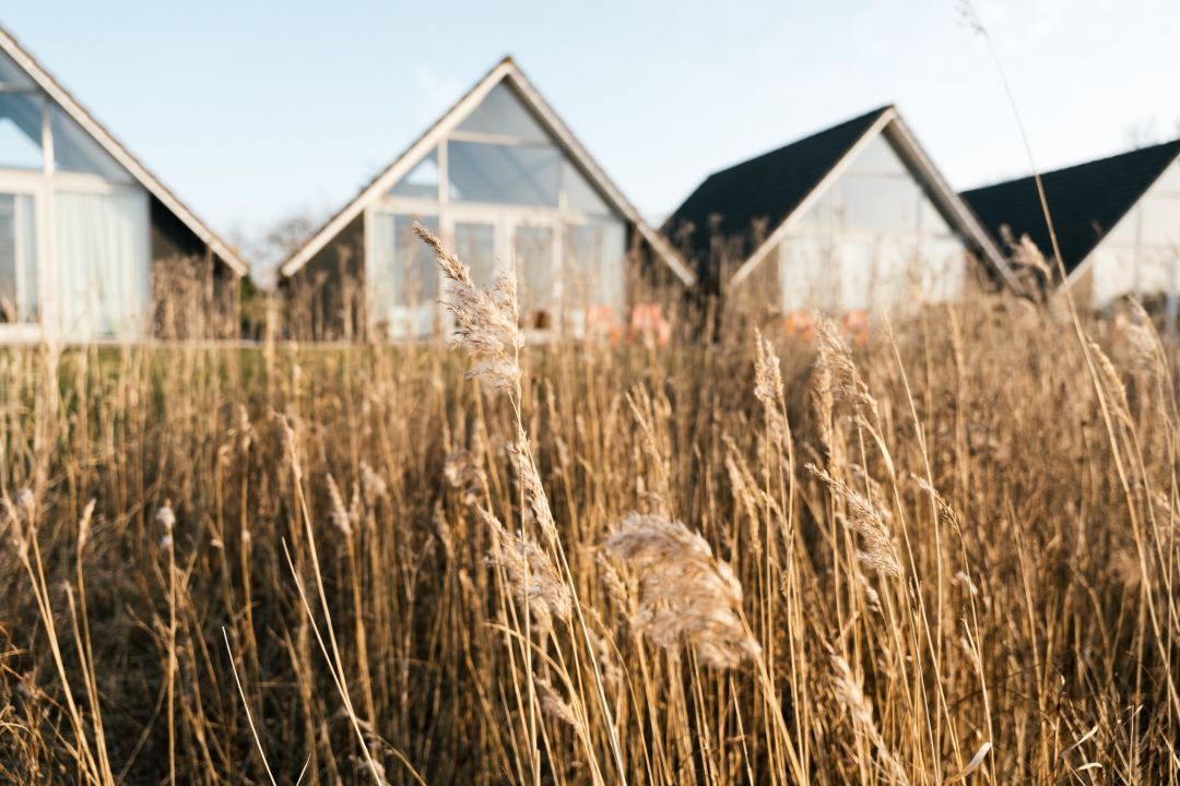 Vakantiehuisjes aan het Lauwersmeer