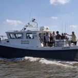 Makreelvissen op de Noordzee bij Schiermonnikoog