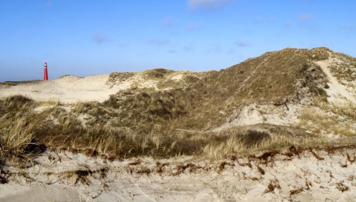 Zwerven over Schiermonnikoog