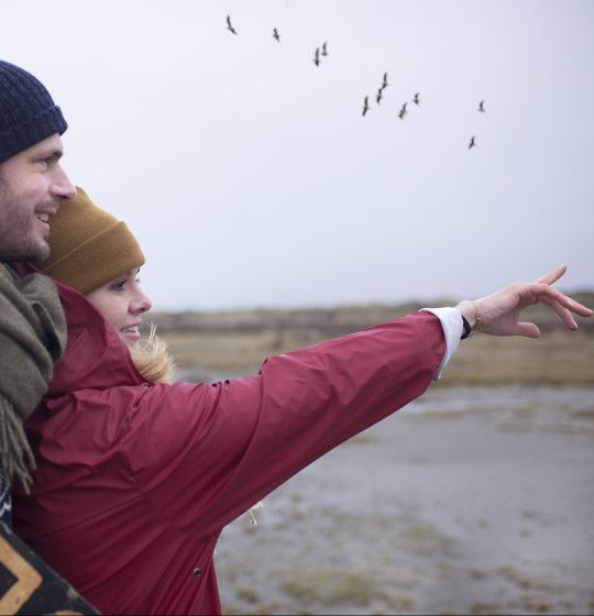 Vogels spotten op Schiermonnikoog