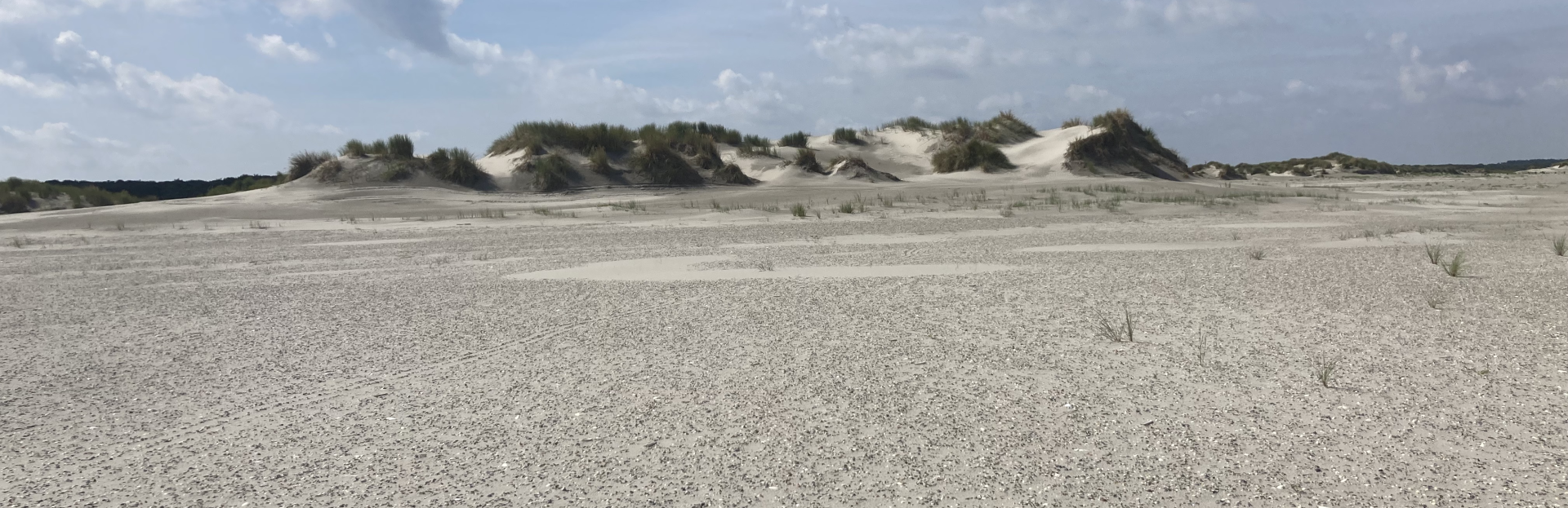 het strand van Schiermonnikoog