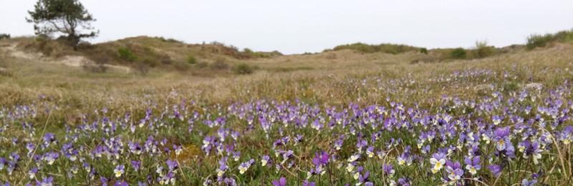 Workshop natuurfotografie Schiermonnikoog