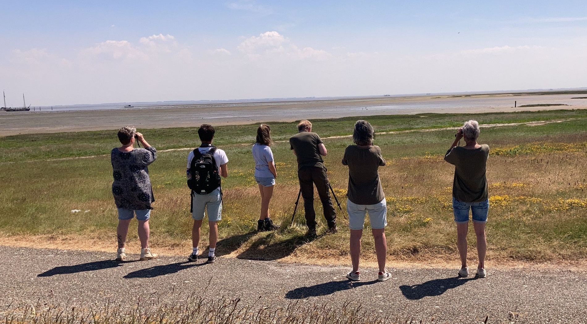 Vogels kijken bij de Waddenzee van Schiermonnikoog