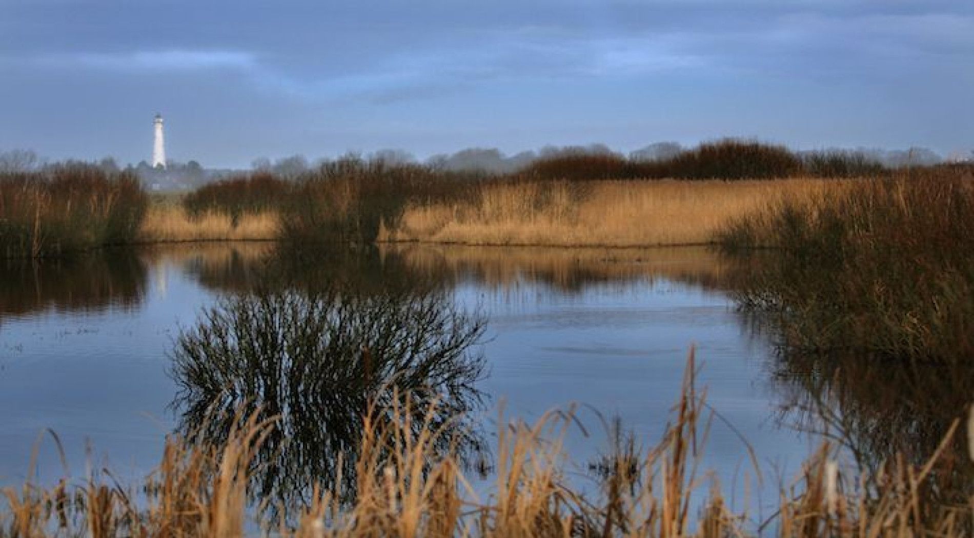 de Westerplas is een vogelhotspot op Schiermonnikoog