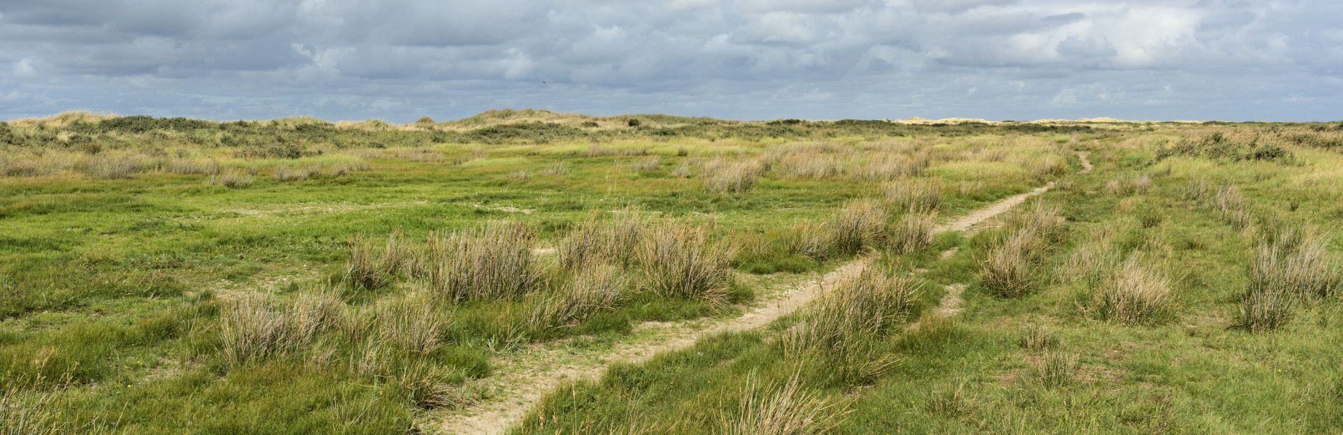 Pittige wandeltoch naar de oost van Schiermonnikoog