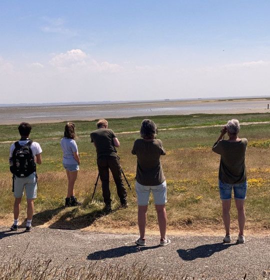 Vogels kijken met een gids op Schiermonnikoog