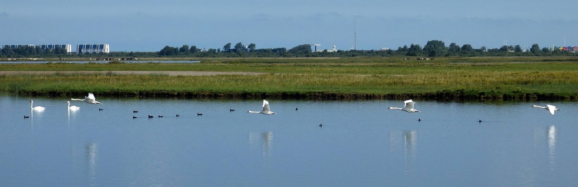 Lauwersmeer bij Lauwersoog