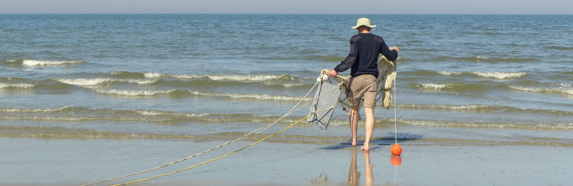 kornetvissen in de Noordzee bij Schiermonnikoog (credits de witte Haas)