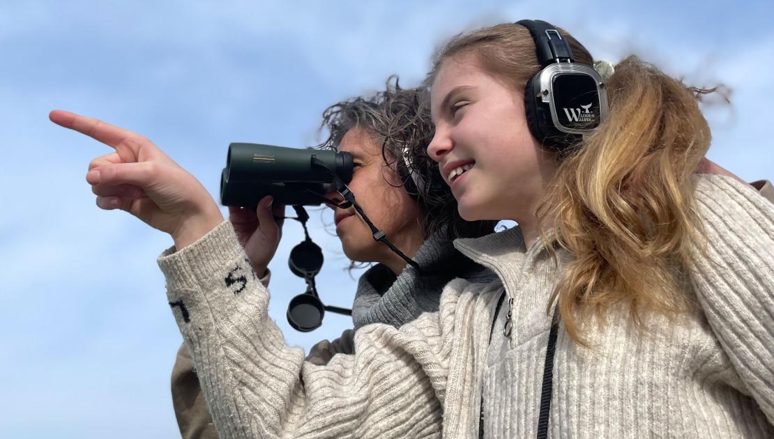 Boek en boot: expeditie Waddenwalvis