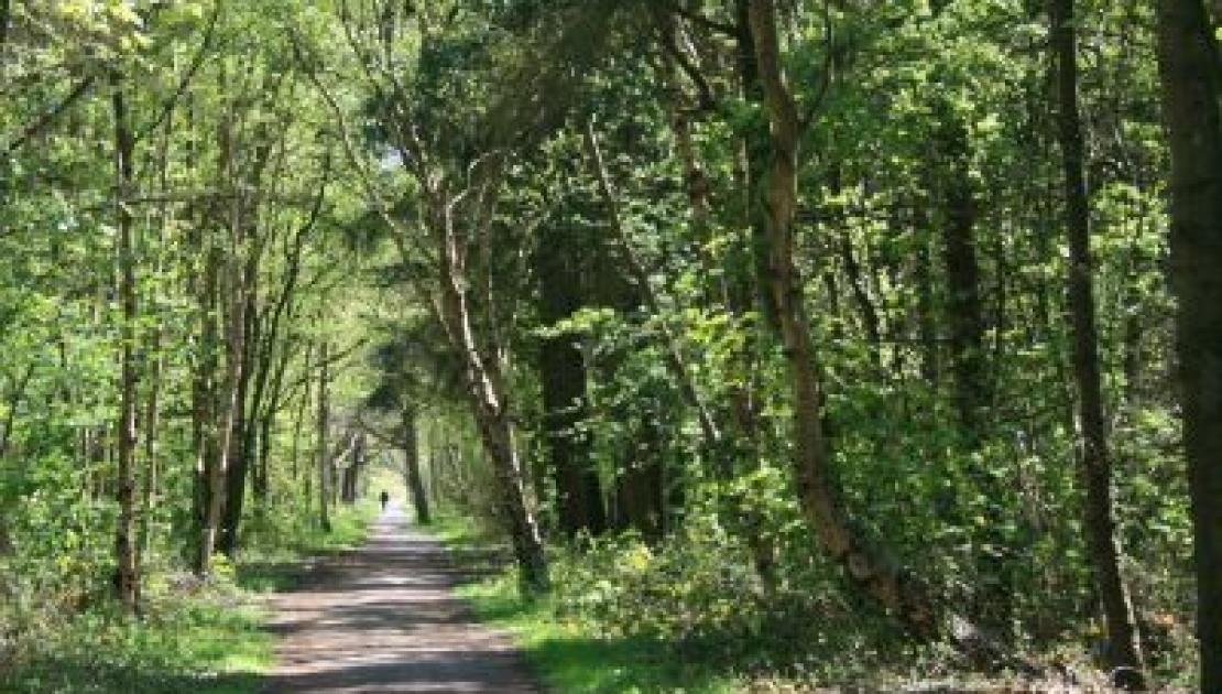 Boeren op Schiermonnikoog