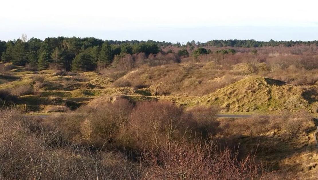 Monniken op Schiermonnikoog